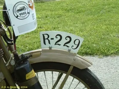 229.webp