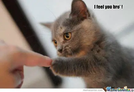 i-feel-you-bro_o_153507.webp