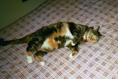 006_06.webp