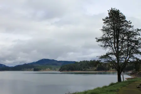 Lake before lightning.webp