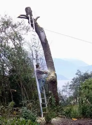 fall protection 2.webp