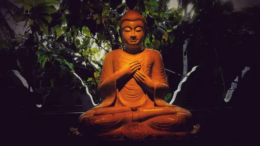 This Zen Lark