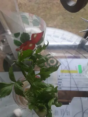 20210102_120317.webp