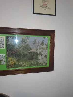 cross stitch of part of our begone garden.webp