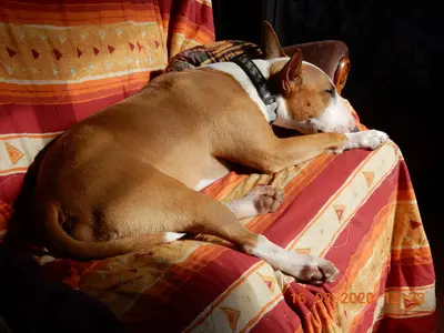 DSCN0645.webp