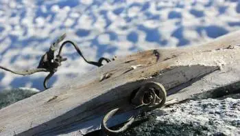 ski2.webp