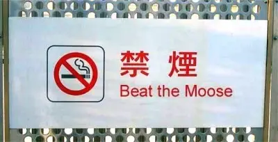 beat-the-moose-400x204.webp