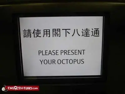 octopus1.webp