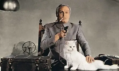 cat.webp