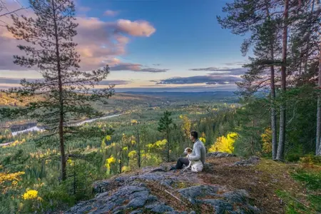 skog.webp