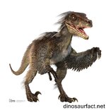Velociraptor3.jpg