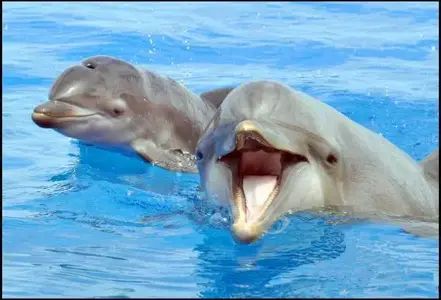 10615341.webp
