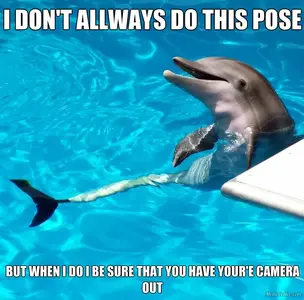 qmeme_1415641010570_185.webp
