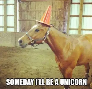 Funny-Horse-Memes-10.webp