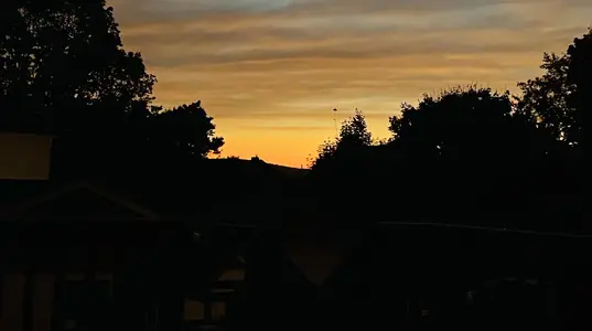 271D7208-5A56-4022-9C0A-EC291BAEB3F3.webp