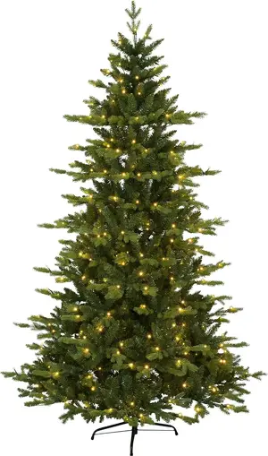 1670344101024.webp