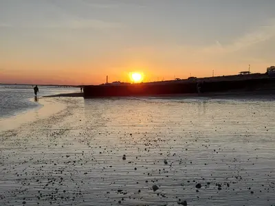 20210824_194727.webp