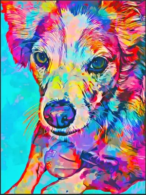 Photoshop_S11VmS8ovD-1.webp