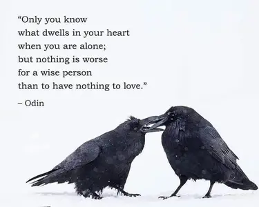 ravens.webp