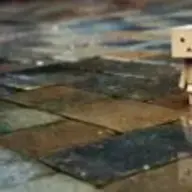 LadyDroid