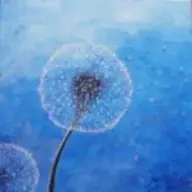 Pusteblume