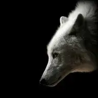 whitewolf