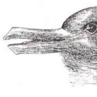 DuckRabbit