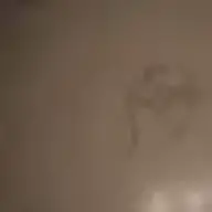 Roberto