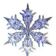 Noni