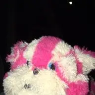 Loves_Maxi