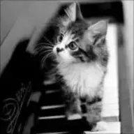 Minuet