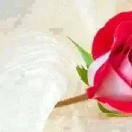 Imsara