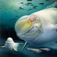 OffensiveBeluga