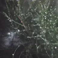 web