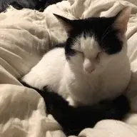 SamJI