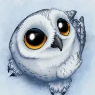 Owly