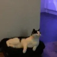 FriendlyButConfused8