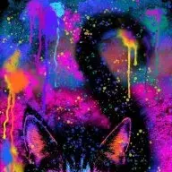 Rainbowcat