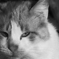 ESteep