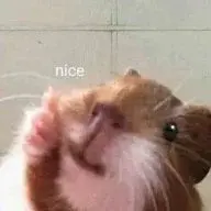 socksandeyesockets