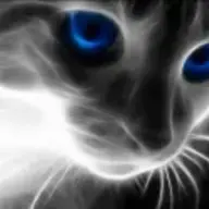 Skyblue1