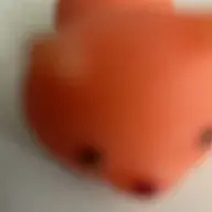 MerCsDs