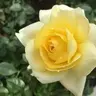 AspieMe