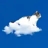 flyingcloudkitty