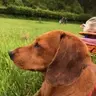 Welshcakenp19
