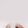 PPower