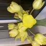 Flowerpower123