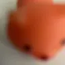MerCsDs