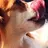 DogListener