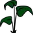 LillBeanSprout